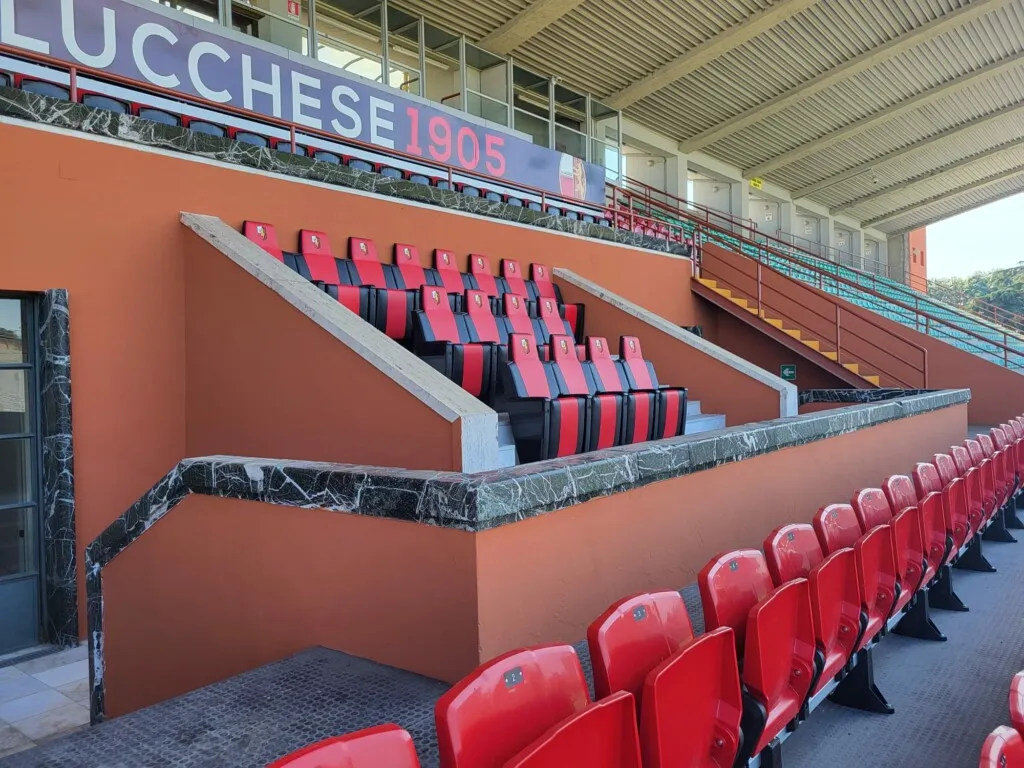 Solzien Coperta Da Calcio Per Donna – Morbida E Leggera Con Stampa Girasole E Frasi Motivazionali