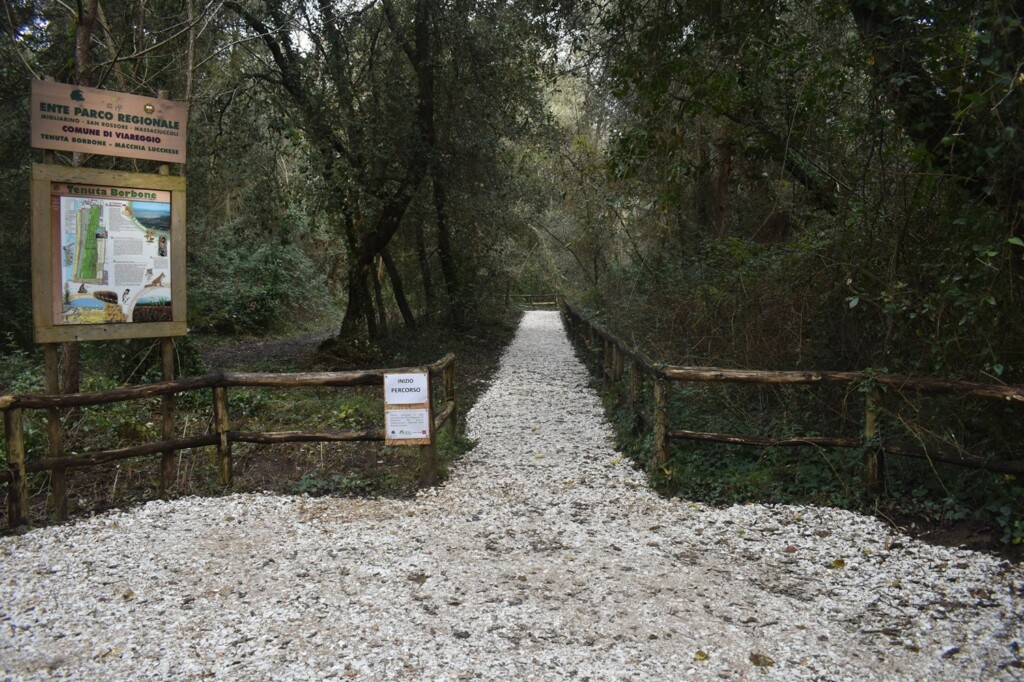 Riqualificato il sentiero da Villa Borbone alla Lecciona NoiTV